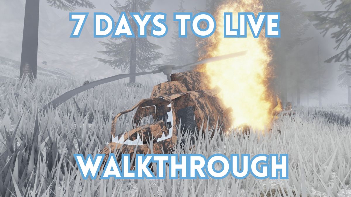 7 Days to Live Walkthrough
