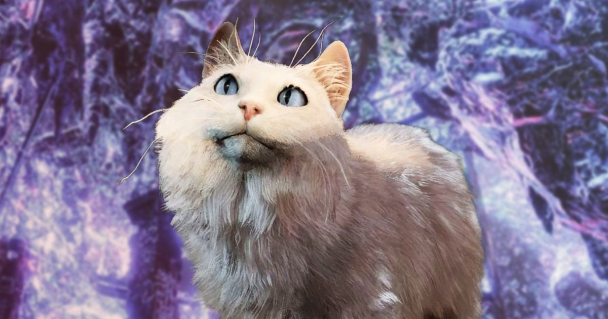 Baldur’s Gate 3’s latest hotfix gets rid of “trippy, high-saturation graphical artefacts”, but also totally breaks everyone’s immersion by making cats actually obey people