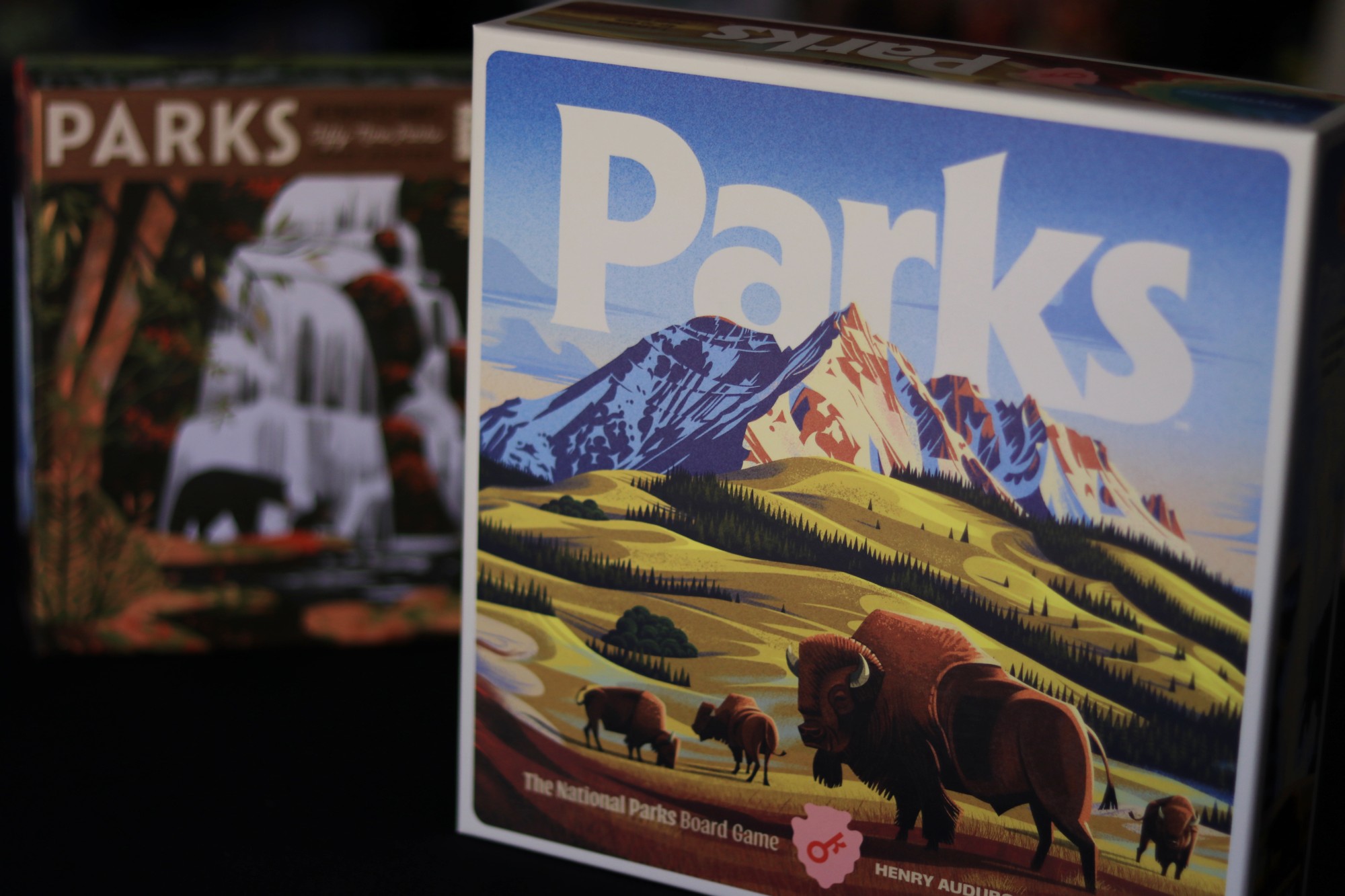 Parks Second Edition Review – One Board Family
